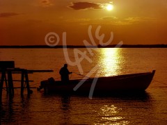 Musgrave Harbour Sunset